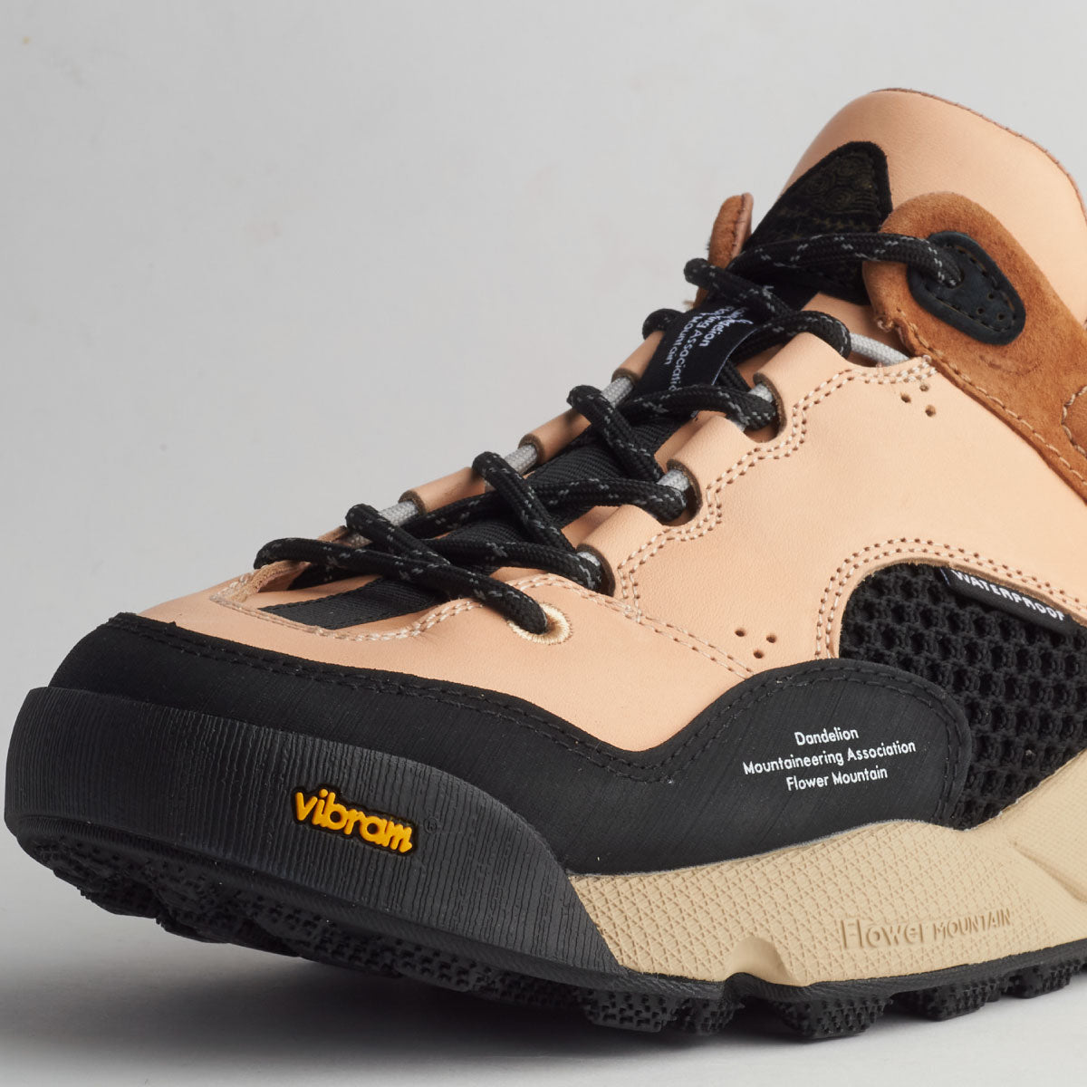 BACK COUNTRY Vegetable/Beige FM66-1-061