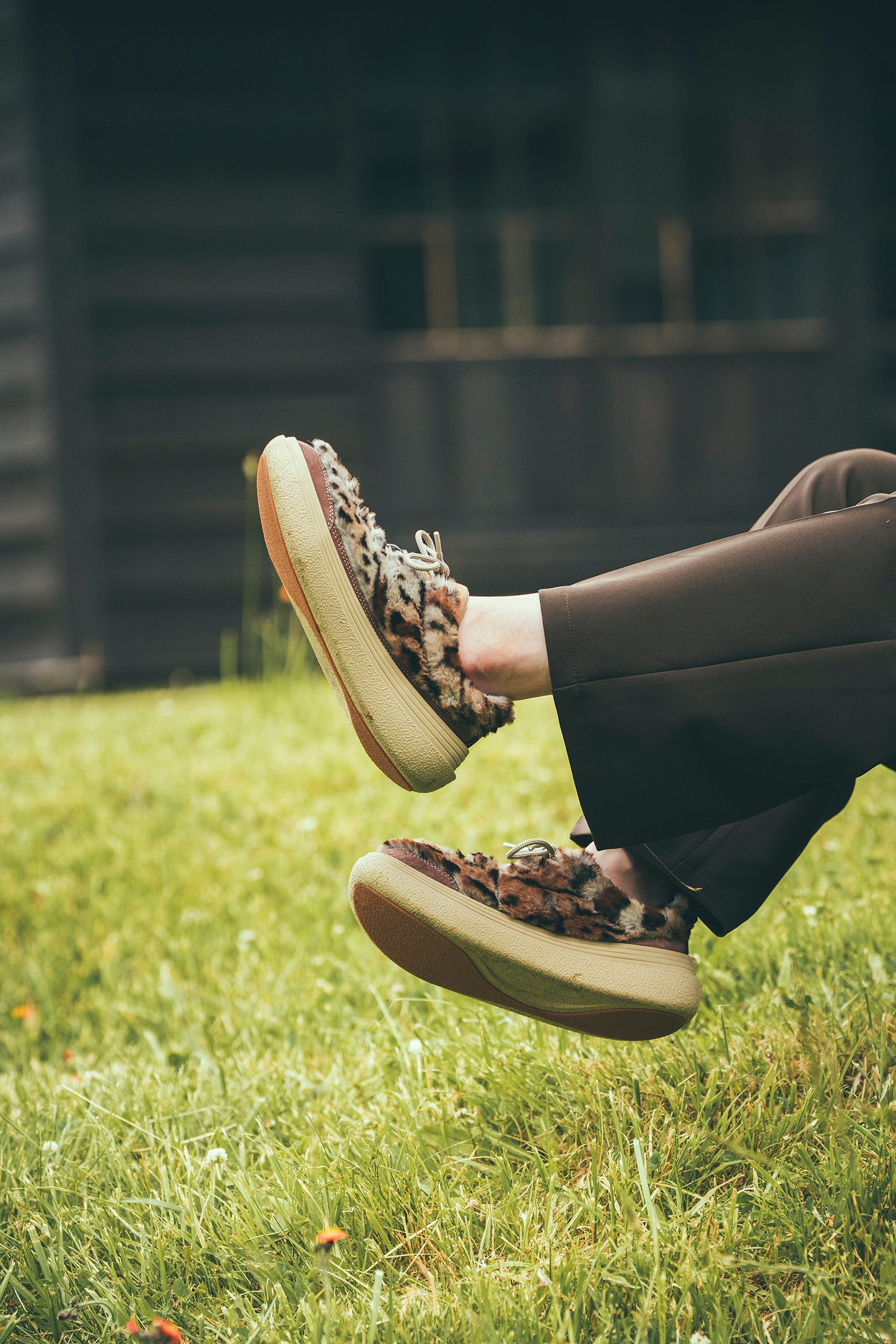 Flower MOUNTAIN オフィシャルサイト 〈フラワーマウンテン〉